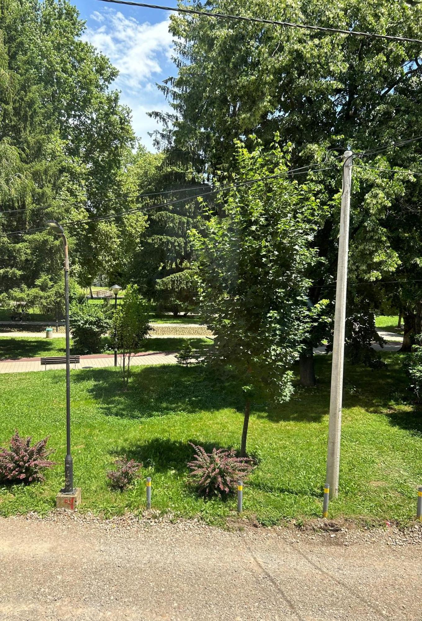 Vila Markovic-A Sokobanja Quarto foto